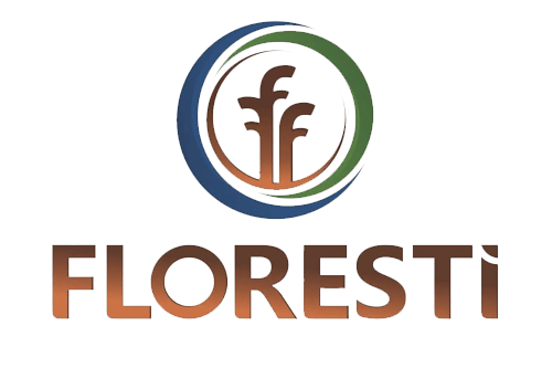 Núcleo de Jovens Empreendedores 13 floresti